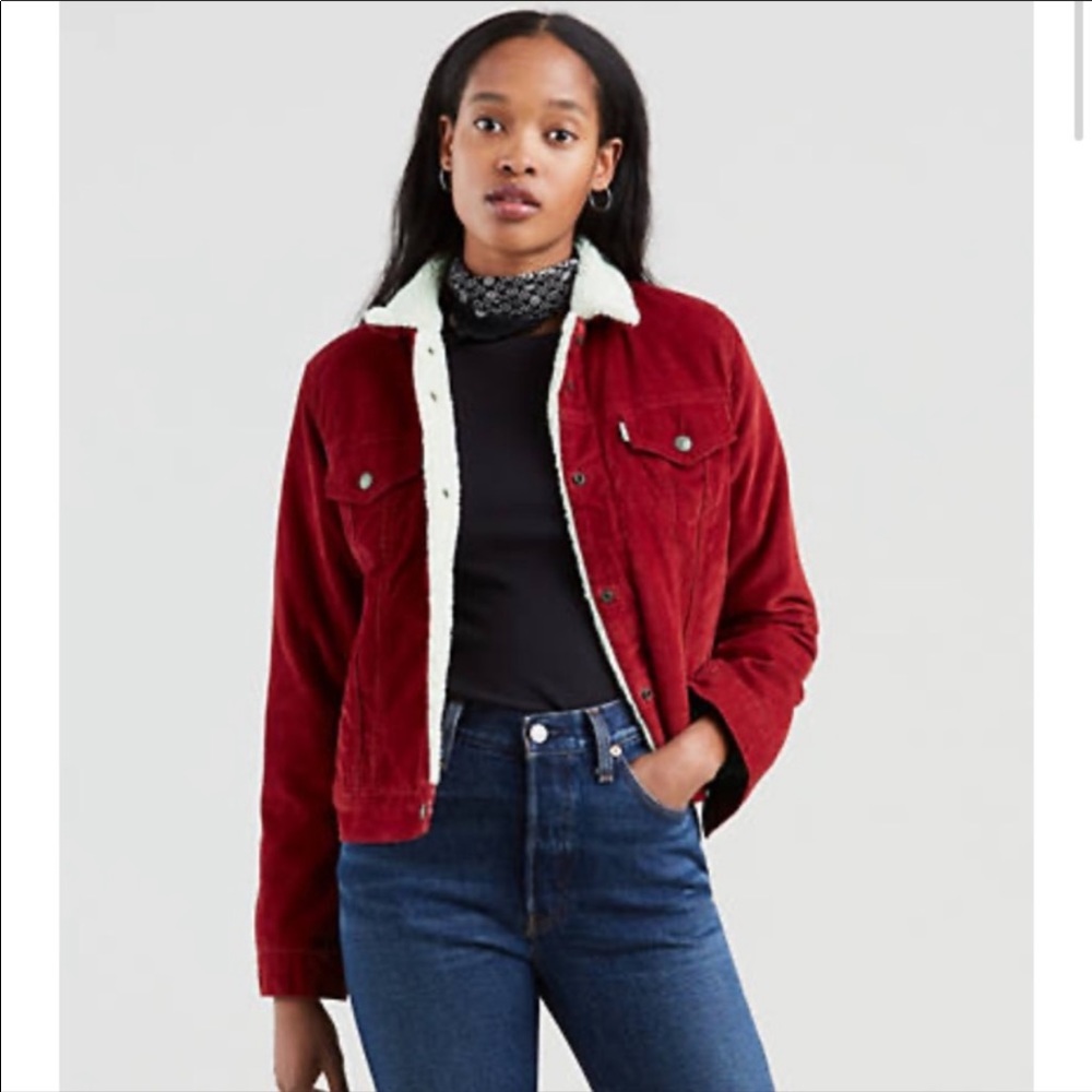 SMALL LEVIS SHERPA